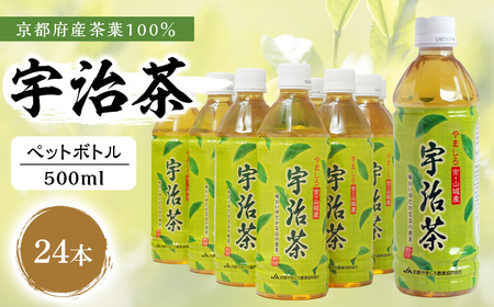宇治茶ペットボトル 500ml×24本(京都お茶 お茶ペットボトル 備蓄お茶 緑茶お茶 お茶