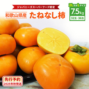 【令和7年度　先行受付】柿カテゴリ上位獲得!　JA紀北かわかみのたねなし柿　7.5kg　L又は2L_柿　たねなし柿　橋本市産柿　渋柿_【1237822】