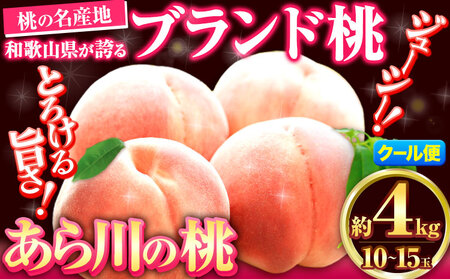 桃 もも モモ あら川の桃 約4kg 10-15玉入り 《2025年6月中旬-8月中旬頃出荷》桃桃桃桃桃 