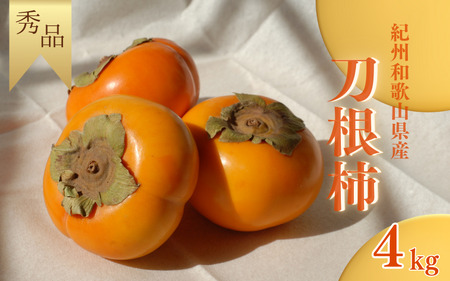 【☆令和7年産☆先行予約】たねなし柿 刀根柿【秀品】約4kg【2025年9月下旬～10月上旬に順次発送致します。】/ 和歌山県 紀美野町 2L～4L 種なし カキ 柿 かき 刀根 【frt001A】 