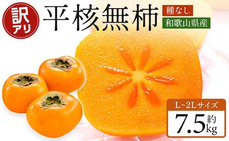 【2025年10月上旬～発送】和歌山県産 訳あり 平核無柿 7.5kg L ~ 2L サイズ たねなし柿 種無し柿 ご家庭用 選果場 直送