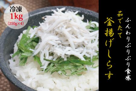 茹でたて釜揚げしらす　1kg(250g×4パック)【冷凍】/無添加なしらす 無着色のしらす しらす シラス 釜揚げのしらす 小分けできるしらす 冷凍のしらす 【mar103】