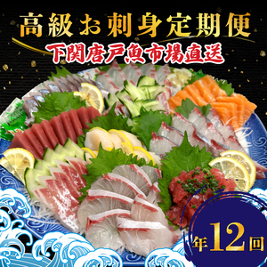 刺身定期便12回 冷凍 刺身定期便 刺身刺身刺身 EY025