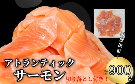 ★数量限定特別価格★ アトランティックサーモン 計900g（切り落とし付き） サーモン 人気 小分け（サーモン  サーモン  サーモン  サーモン  サーモン  サーモン  サーモン）