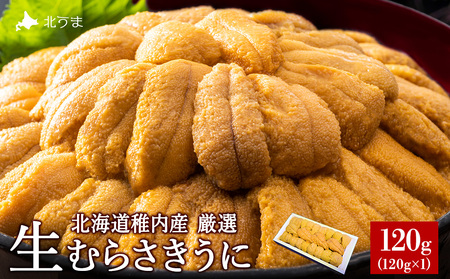 美味しいウニは昆布の名産地にあり!生むらさきうに120g 海鮮【配送不可地域：離島・沖縄県】