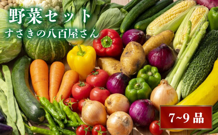 野菜 7～9品目 セット 野菜セット 季節野菜セット 新鮮野菜セット 旬野菜セット 朝採れ野菜セット 高知県 須崎市 NK001
