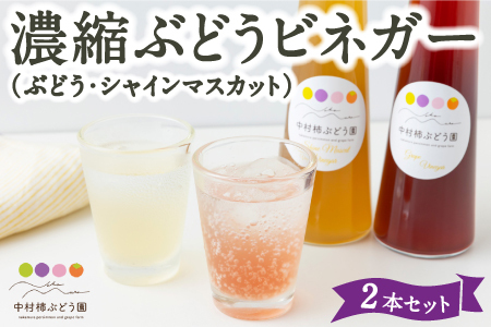 中村柿ぶどう園 濃縮ぶどうビネガー2本セット(ぶどう・シャインマスカット) 各300ml フルーツビネガー 果実酢 フルーツ酢 お酢 酢 ビネガー 濃縮タイプ 飲料 福岡県 うきは市