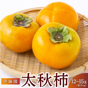 【先行予約】伊藤園 太秋柿 12玉から15玉 約5kg 【2025年10月中旬から10月下旬出荷予定】 ／ 富有柿 柿 果物 フルーツ くだもの うきは市