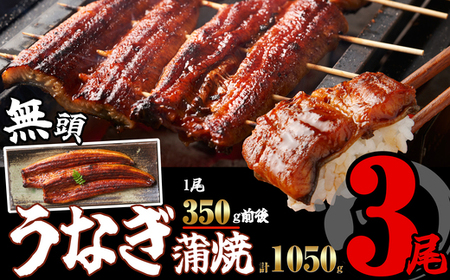 【6/15までのお申込みで土用丑の日までのお届け可】［無頭］ うなぎ蒲焼 3尾 約1050g ふっくら ジューシー SF058-1