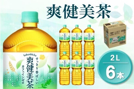 爽健美茶 2L×6本(1ケース)【コカコーラ カフェインゼロ 香ばしい おいしい ブレンド茶 お茶 国産 ハトムギ 玄米 大麦 ドクダミ ハブ茶 チコリー 麦芽 植物素材 飲料 お徳用 ペットボトル】K090078