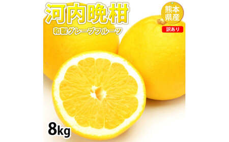 訳あり 河内晩柑 8kg 晩柑 ばんかん 柑橘類 果物 フルーツ 【2025年7月下旬迄発送予定】