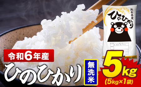 令和6年産 無洗米 米 ひのひかり 5kg《7-14日以内に出荷予定(土日祝除く)》熊本県 菊池市 国産 熊本県産 精米 無洗米 送料無料 ヒノヒカリ こめ お米 