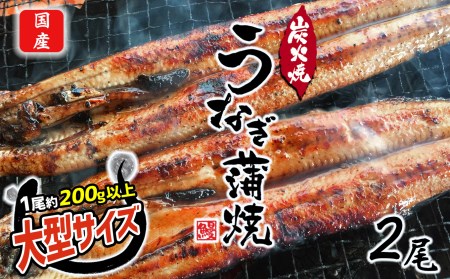 数量限定 国産 特大うなぎ 2尾 | 熊本県 うなぎ 和水町 ウナギ くまもと 鰻 なごみまち うなぎ ウナギ 鰻 冷凍  うなぎ ウナギ 鰻 2尾 うなぎ ウナギ 鰻 国産 