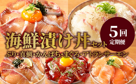 お魚の漬け丼バラエティ5回定期便 N019-YE097