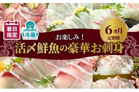 【お楽しみ定期便】延岡産活〆鮮魚の豪華お刺身（6ヶ月定期便） N019-YF073