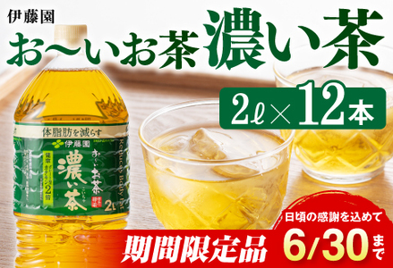 ※2025/06/30まで※おーいお茶 濃い茶 2L×6本×2ケース【お茶 緑茶 飲料お茶 ソフトドリンクお茶 ペットボトルお茶 お茶 備蓄お茶 お茶 お～いお茶】