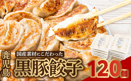 087-01 国産素材にこだわった鹿児島黒豚餃子120個