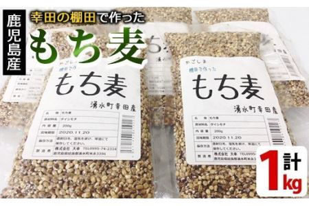 y215 棚田で作ったもち麦200g×5袋(計1kg)！日本棚田百選に選定されている「鹿児島県湧水町幸田棚田のもち麦」国産 九州産 鹿児島県産 もち麦 ごはん ご飯 ダイエット 健康【福永商店】