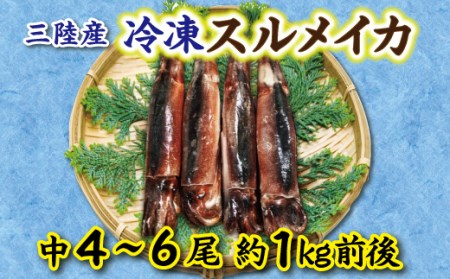  冷凍スルメイカ 中 ４本～６本 （約１kg前後） 