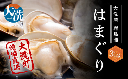 大洗産鹿島灘天然はまぐり 3㎏ 冷蔵 お吸い物 ハマグリ 蛤 貝 砂抜き処理 魚介類 大洗産 天然 はまぐり_BQ011