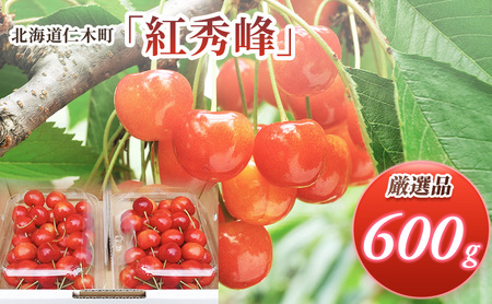 [先行受付] 北海道 仁木町産 厳選品 サクランボ 紅秀峰 600g（300g×2） Lサイズ以上 果物類 果物 くだもの フルーツ さくらんぼ チェリー[松山商店]