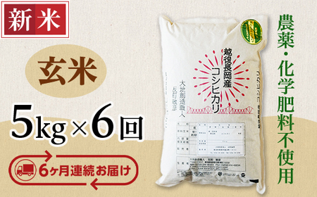 E1-G056A【6ヶ月連続お届け】新潟県長岡産コシヒカリ玄米5kg