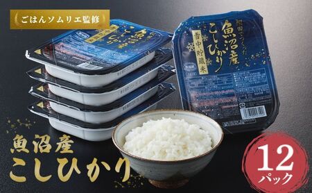  魚沼産コシヒカリ 雪中貯蔵米 パックご飯 12個 ごはん ごはん ごはん パックご飯
