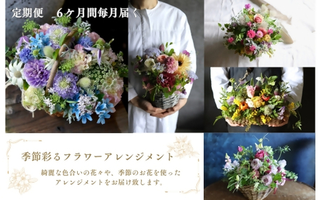 ~定期便~季節彩るフラワーアレンジメント　花　はな　定期便　毎月　季節　6ヶ月　6カ月　アレンジメント　おしゃれ　オシャレ　インテリア