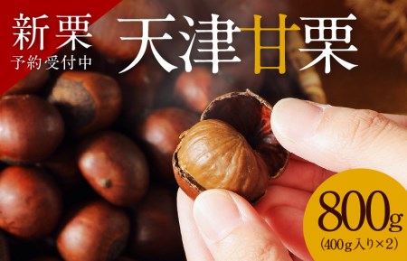 【新栗】予約受付中！！この道50年の職人が焼く、やさしい甘みたっぷりの「天津甘栗」800g！　 H045-056