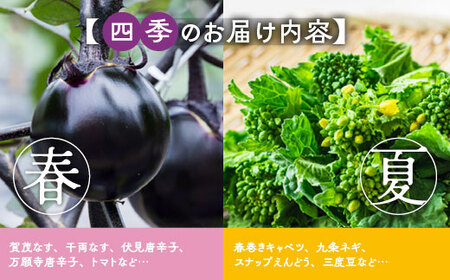 京野菜スペシャルセット 12回定期便＆卵3回分 野菜 野菜 野菜 野菜 野菜
