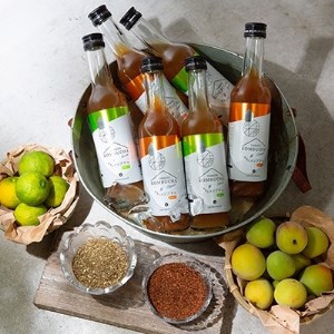 老舗酵素メーカー「大和酵素」が作る、 “本物のコンブチャ”　(280ml×24本)【1125095】