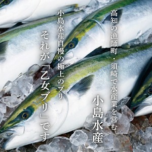 乙女 ブリ 4～5kg 1匹分 新鮮 ブランド 鰤 刺身 加工 有 ブリ ブリ ブリ 鰤 KS036-x