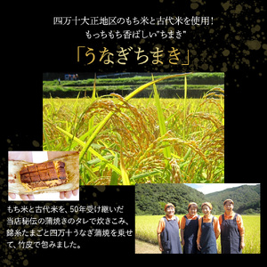 うなぎ ちまき3袋セット チマキ 海鮮 国産 鰻 ウナギ うなぎ 中華 本格 四万十鰻 冷凍 おすすめ 長期保存 ／Esu-78