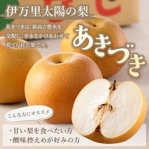【令和7年産先行予約】伊万里梨「あきづき」 約5kg  B165