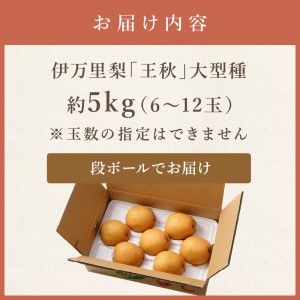 【令和7年産先行予約】伊万里梨「王秋」 約5kg  B163