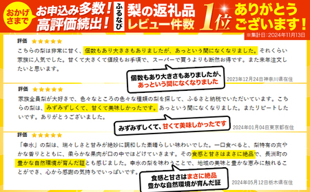 【先行予約 】 くまもと梨 約3.5kg 梨 旬の梨 熊本県産 梨 フルーツ 梨 【着日指定不可】《2025年8月下旬‐11月中旬頃より出荷予定》