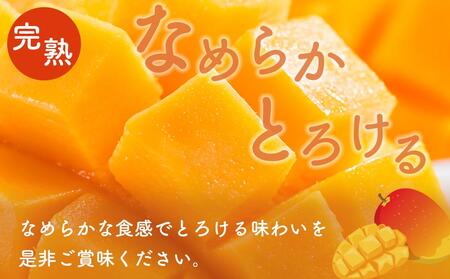マンゴー 先行予約 佐多の果樹園で育てた 完熟アップルマンゴー 2kg (3～5玉) 【 マンゴー マンゴー マンゴー マンゴー マンゴー 】