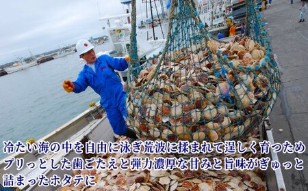 17-108 北海道オホーツク海産ホタテ玉冷(1kg)