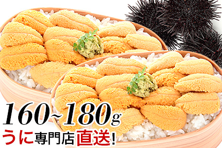 ムラサキウニ80g～90g×2PA-06001
