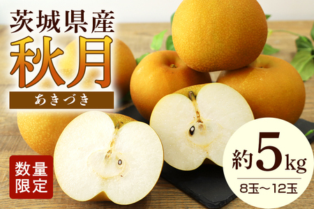 【数量限定 / 夏季限定】 梨（秋月）約5kg 梨 なし ナシ 日本梨 あきづき アキヅキ 17-X 【9月上旬〜中旬発送予定】