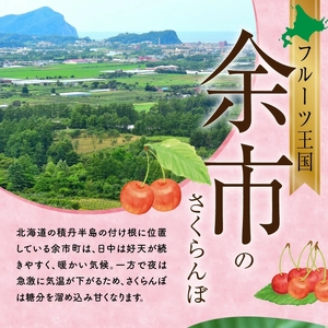 さくらんぼの王様 佐藤錦 500g×2パック 合計1kg(L~2L) 【2025年発送先行予約】 余市 北海道 フルーツ王国 さくらんぼ サクランボ 桜桃 佐藤錦 余市産さくらんぼ  小分けさくらんぼ  人気さくらんぼ ニトリ _Y074-0112