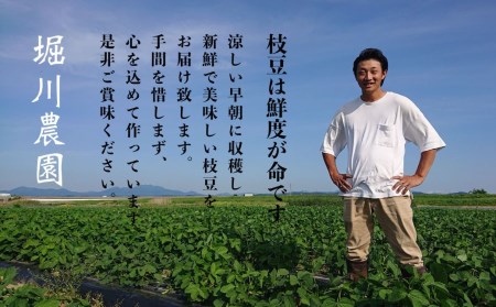 先行予約 [枝豆 定期便 1kg×3回] 新潟県産 枝豆（陽恵） 朝採り枝豆 1kgを3回お届け [2025年発送分 ] 令和7年産 枝豆 [堀川農園] 【030S034】