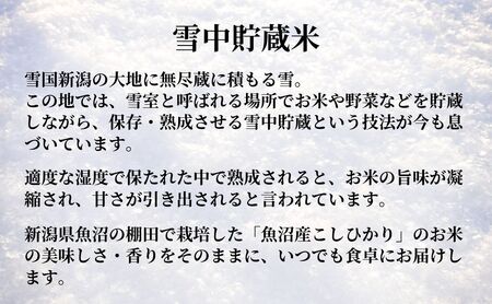  魚沼産コシヒカリ 雪中貯蔵米 パックご飯12個 /たかの/ パックご飯 パックご飯 パックご飯 パックご飯 パックご飯 