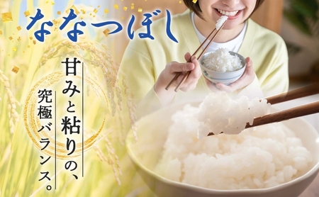 【令和7年産先行予約】北海道 定期便 6ヵ月連続6回 令和7年産 ななつぼし 5kg×4袋 特A 精米 米 白米 ご飯 お米 ごはん 国産 ブランド米 おにぎり ふっくら 常温 お取り寄せ 産地直送 送料無料 月形 