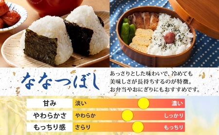 【令和7年産先行予約】北海道 定期便 6ヵ月連続6回 令和7年産 ななつぼし 5kg×4袋 特A 精米 米 白米 ご飯 お米 ごはん 国産 ブランド米 おにぎり ふっくら 常温 お取り寄せ 産地直送 送料無料 月形 