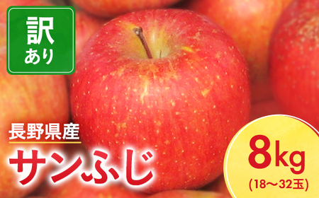 長野県産 サンふじ りんご 家庭用 訳あり 8kg(18～32玉)【1449697】