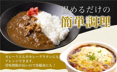 飛騨牛カレー (8袋) 飛騨牛トマトカレー (4袋)  | 訳あり 飛騨牛 肉 牛 カレー ビーフカレー 簡易包装 レトルトカレー トマトカレー 人気 おすすめ おいしい 便利 飛騨高山 ふるさと清見 DC004VC13